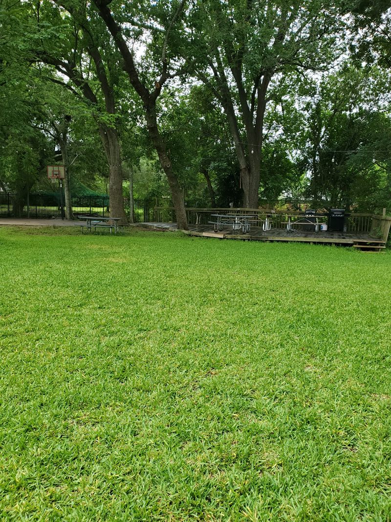 Basketball Court